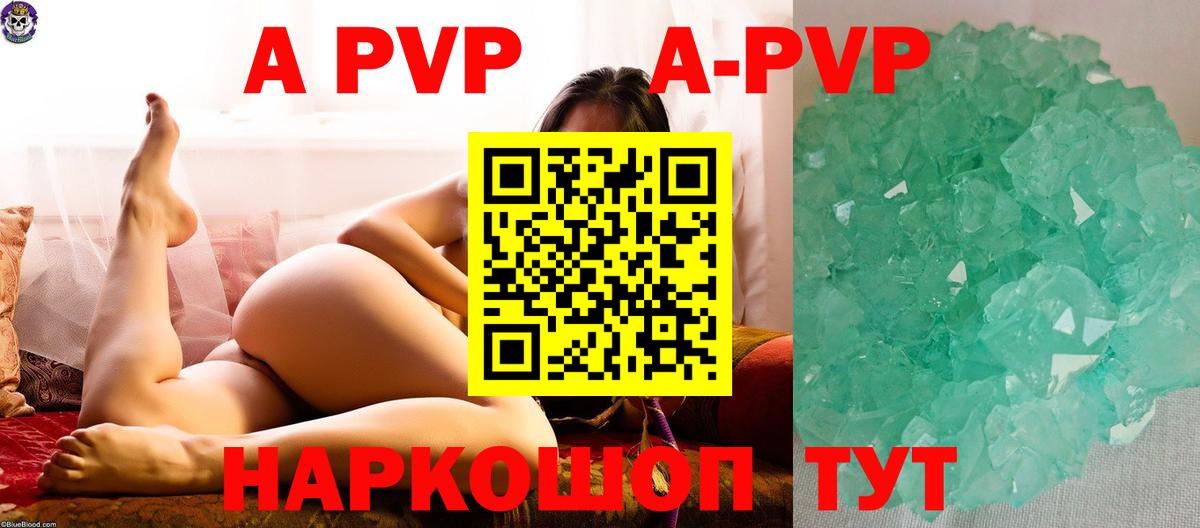A PVP СК Кингисепп