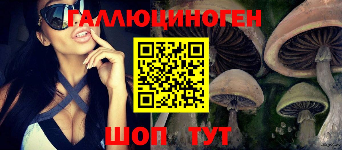 Псилоцибиновые грибы Cubensis Кингисепп