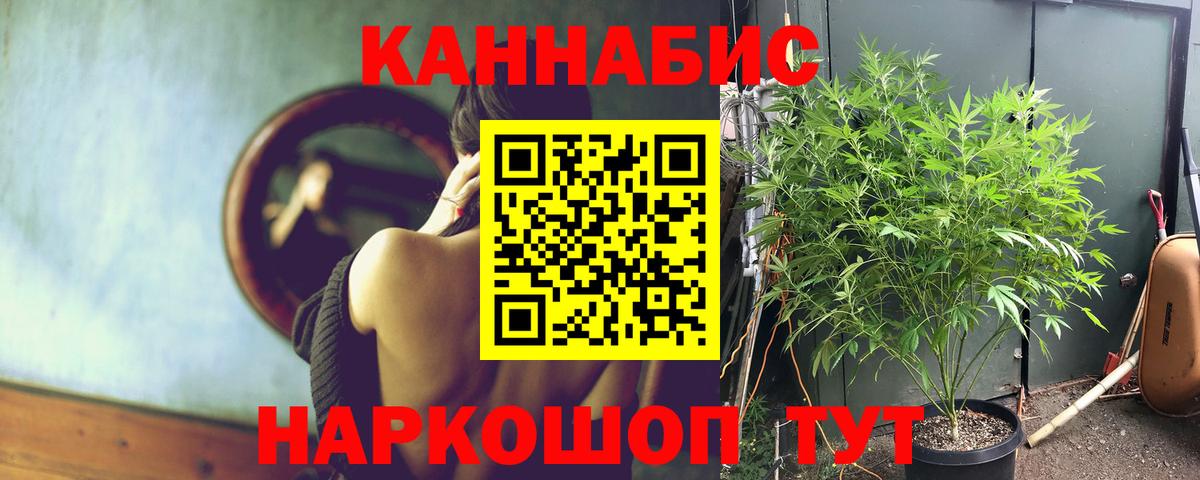 Канабис Amnesia  Вход с VPN  Канабис Bruce Banner  Кингисепп  Канабис ГИДРОПОН  Канабис OG Kush 
